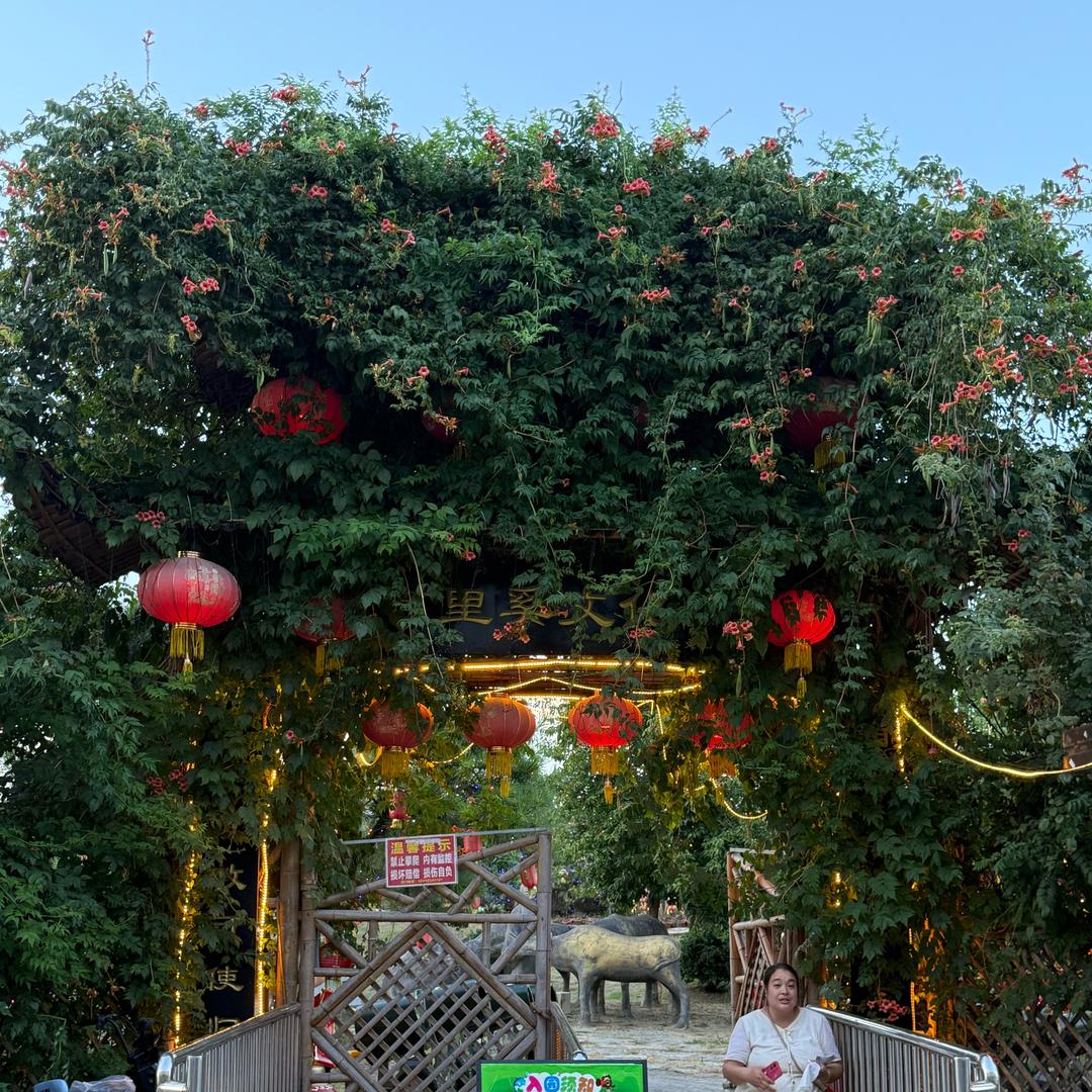 百里奚文化园.卡布豆萤火萤火虫之夜
