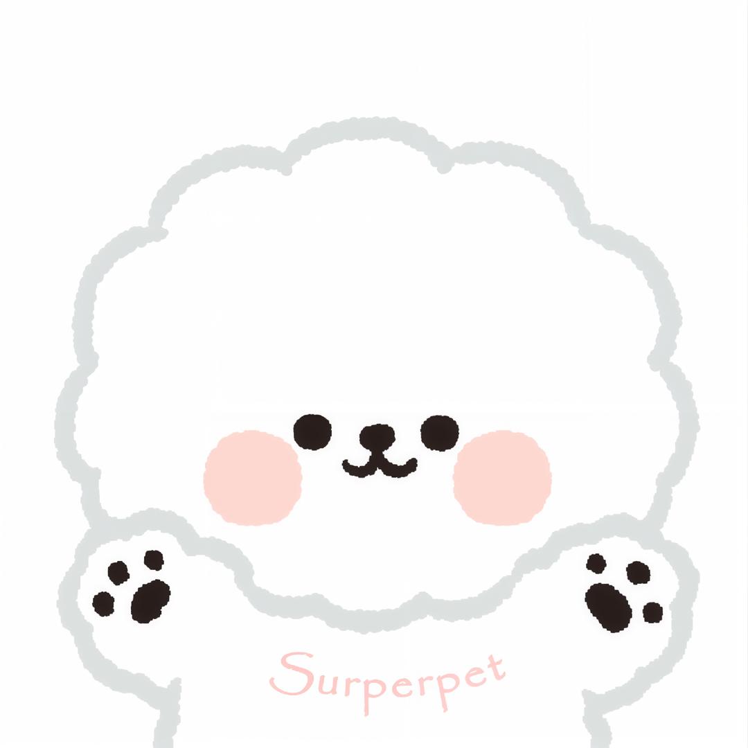 Super棉花糖精品比熊