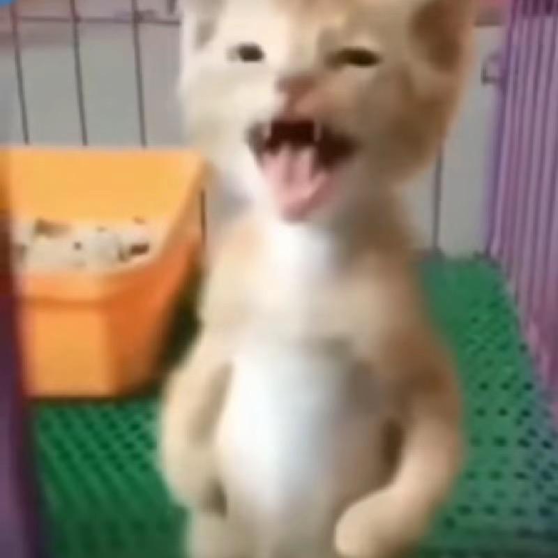 YIYV