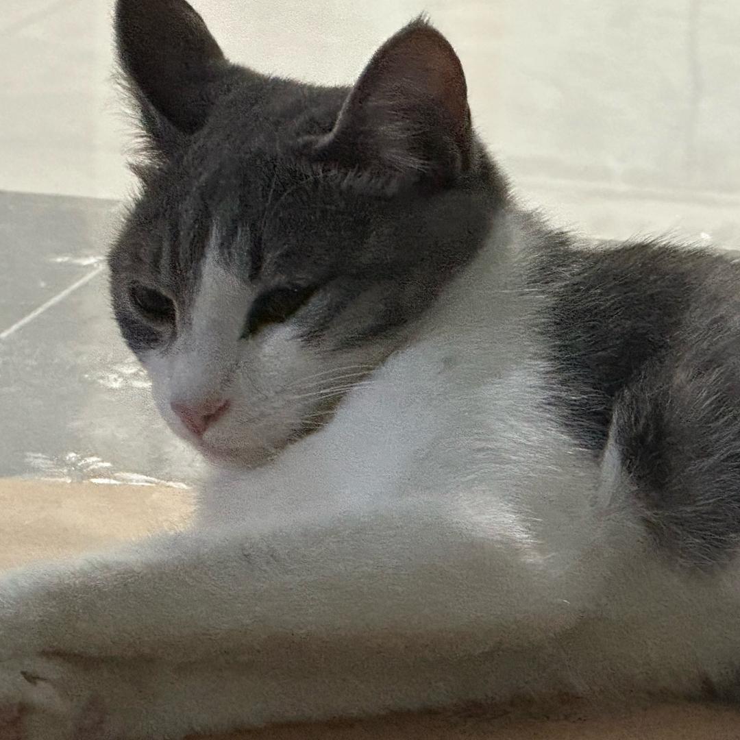 小澈