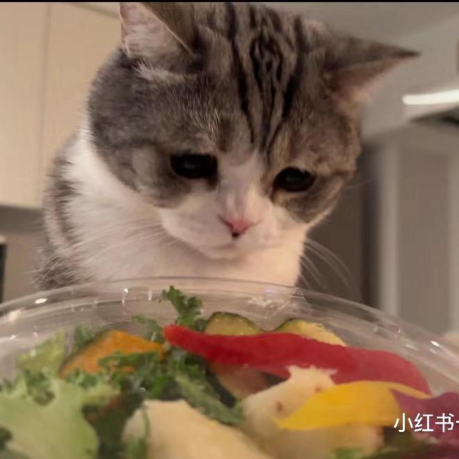 九九今天又瘦了