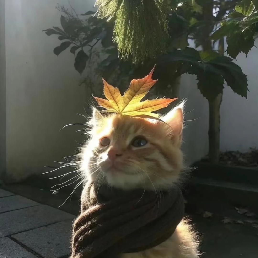 板烧鸡腿儿堡