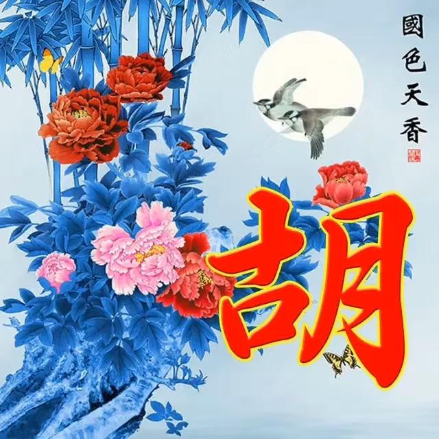古月哥52❤️77