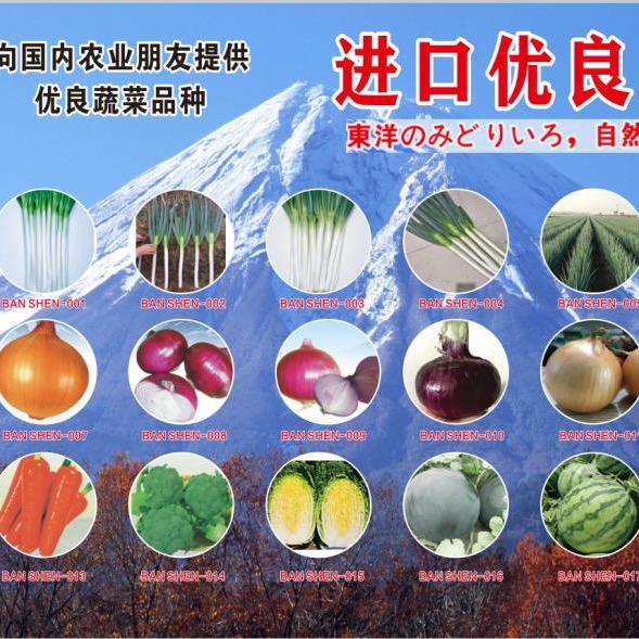 沈阳坂田农业科技有限公司