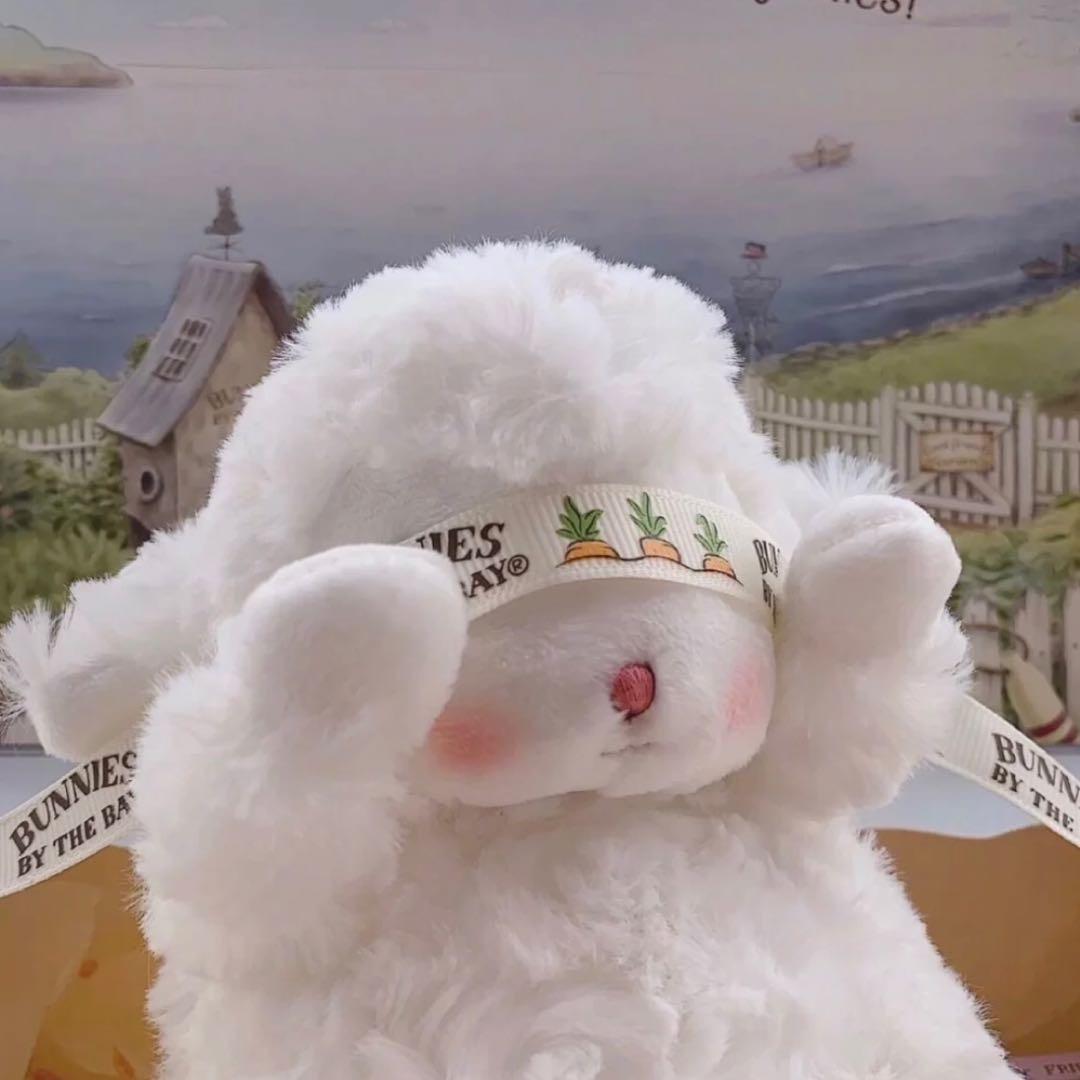 菜菜是菜鸡的菜