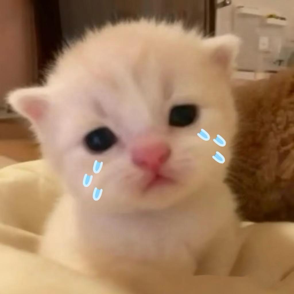 我要天天开心ᐡ•͈ ·̭ •͈ᐡ