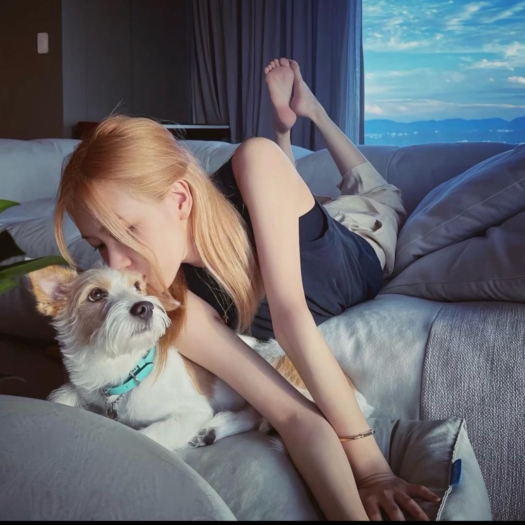 刺猬