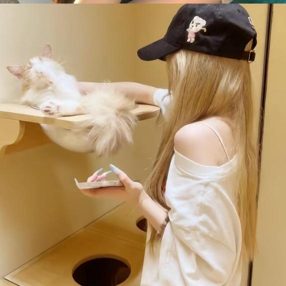 菲菲