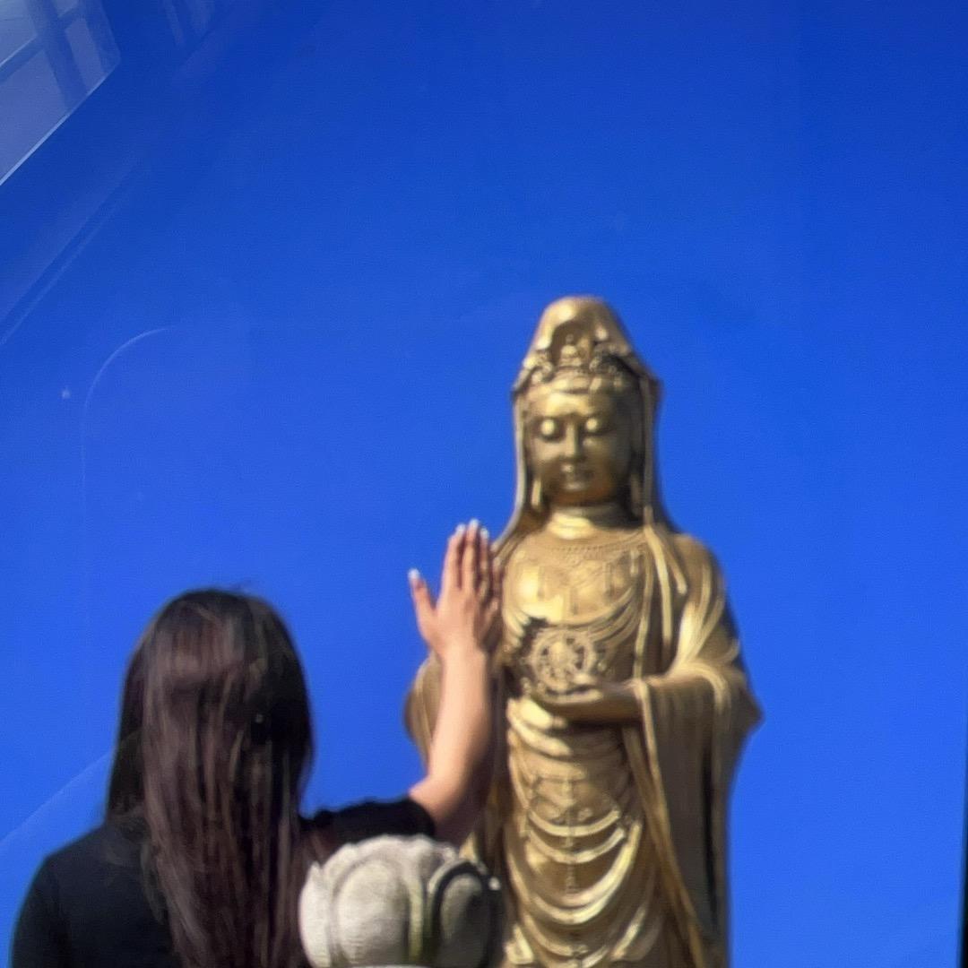 菲小妹聊猪～天天猪价