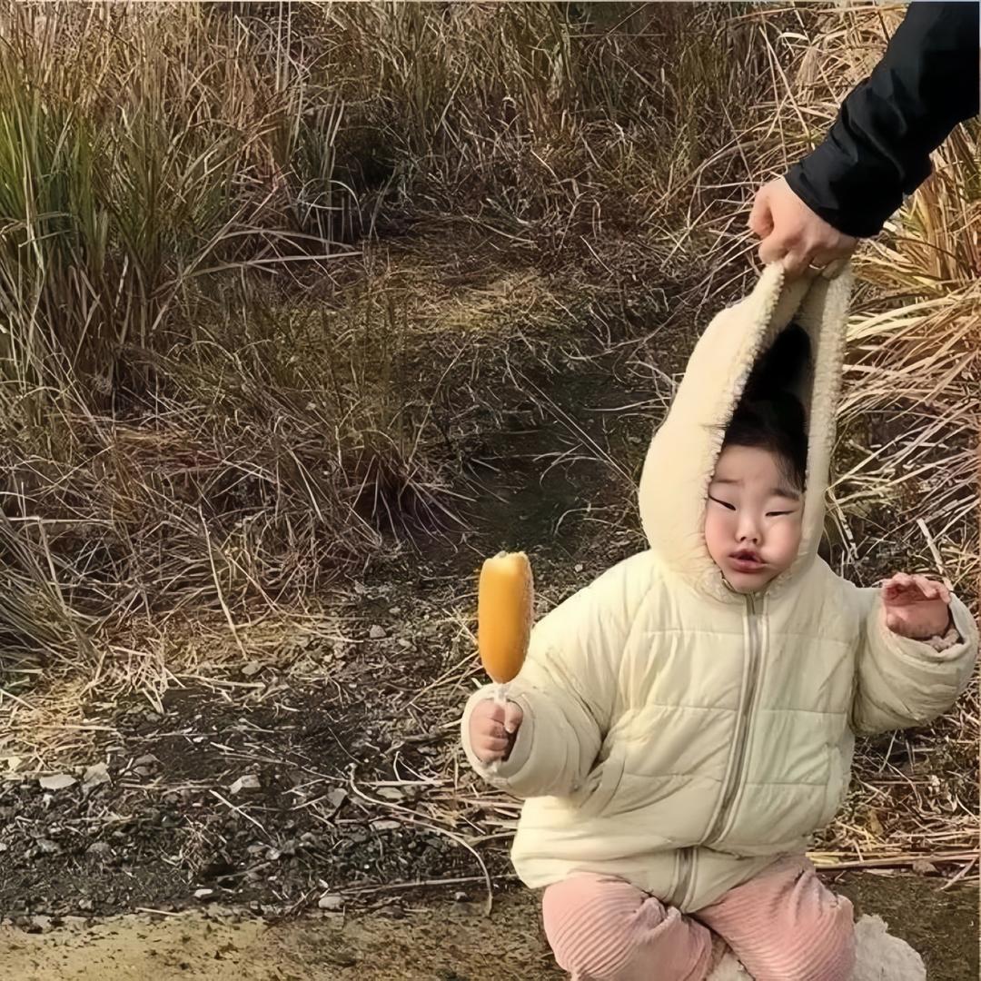 长歌明月