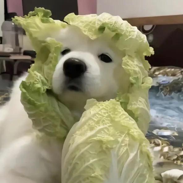 记得好好吃饭！