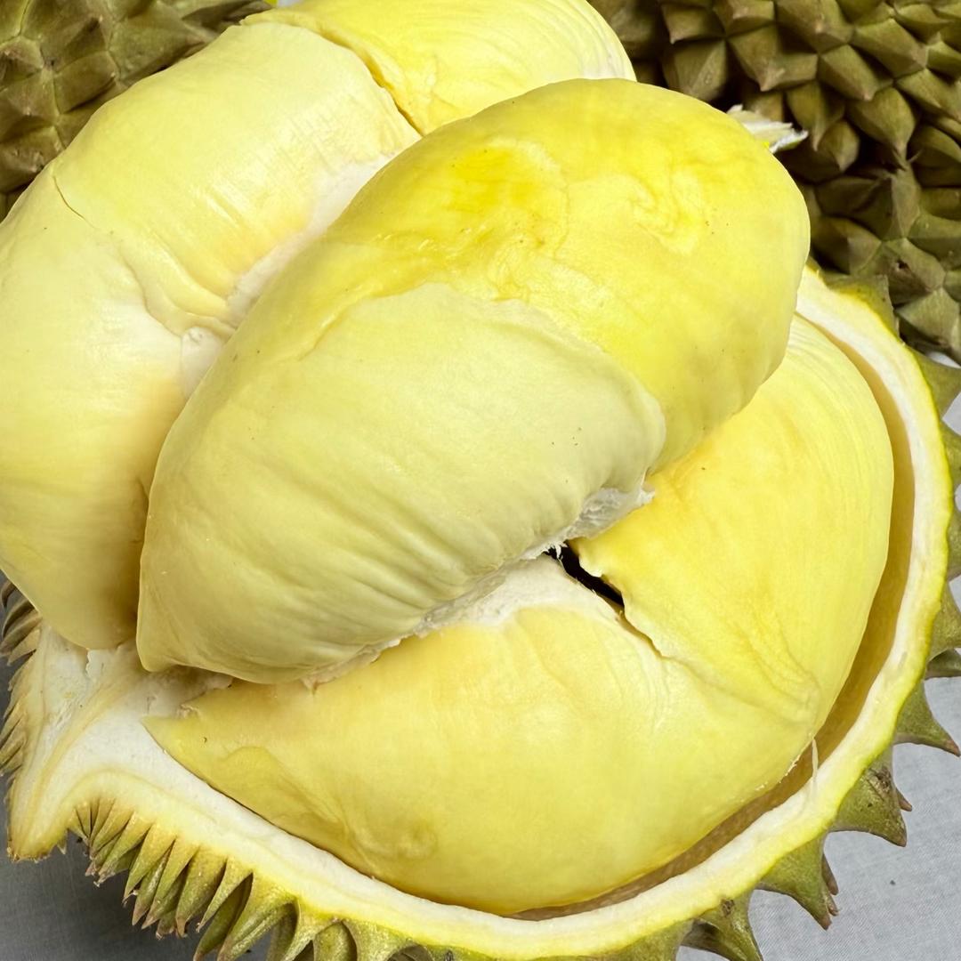 榴莲大富