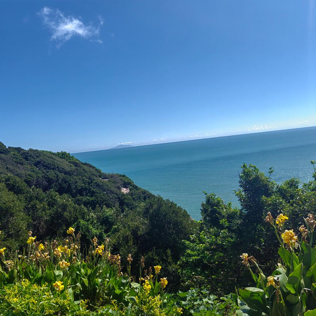 ٩(๑•̀ω•́๑)۶