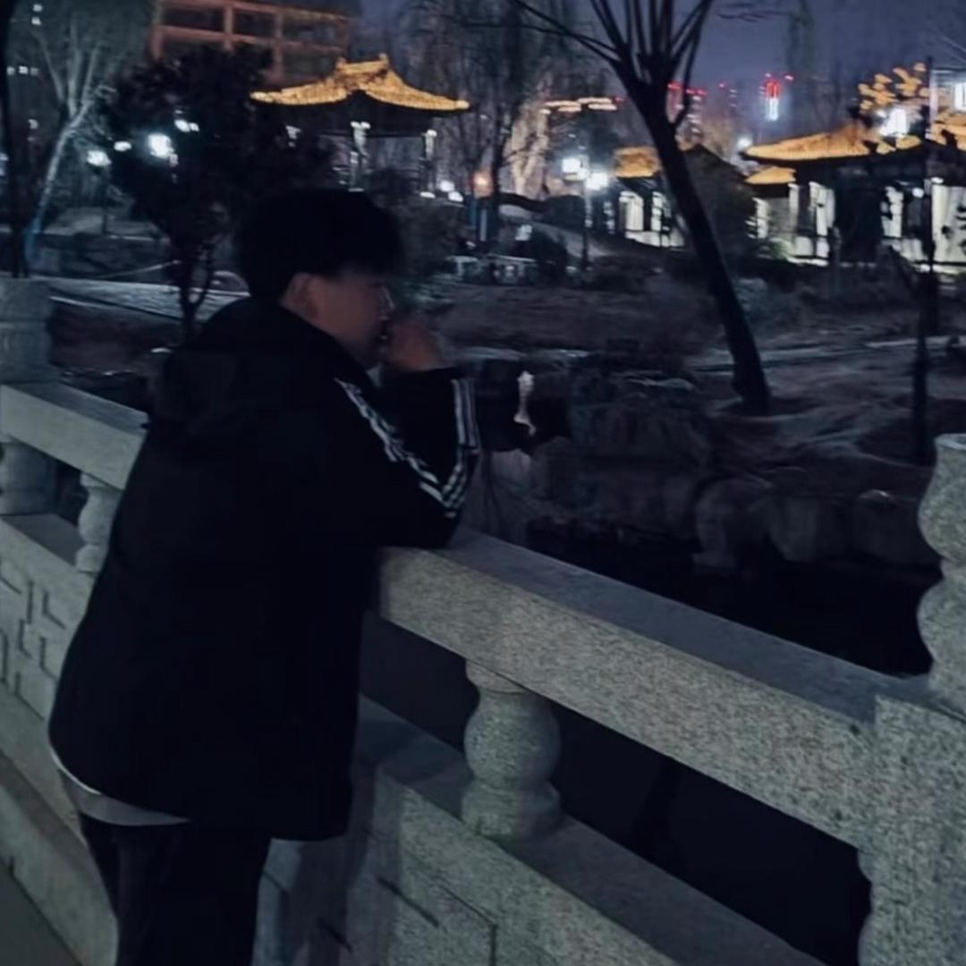 别踩我的拼好飯