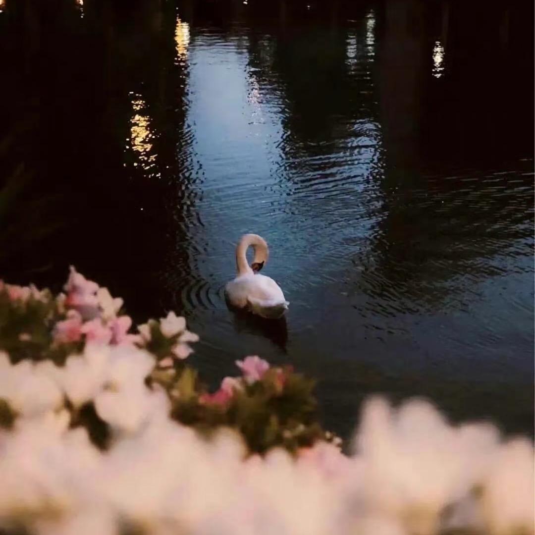 春夏.