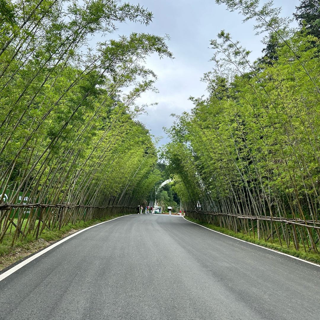 小七