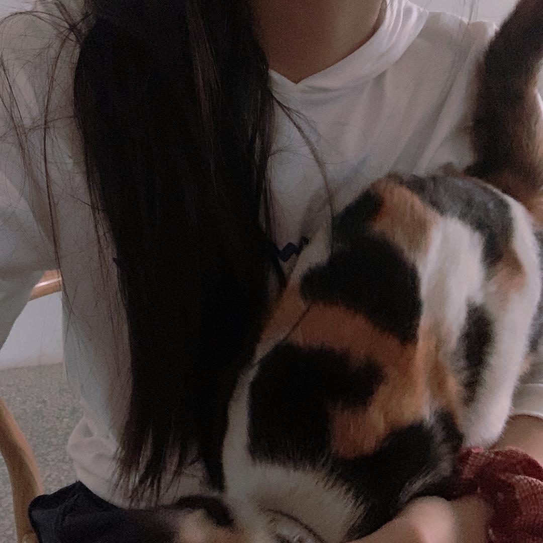 🌷小刘66