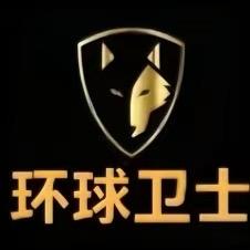 环球卫士国际保镖服务