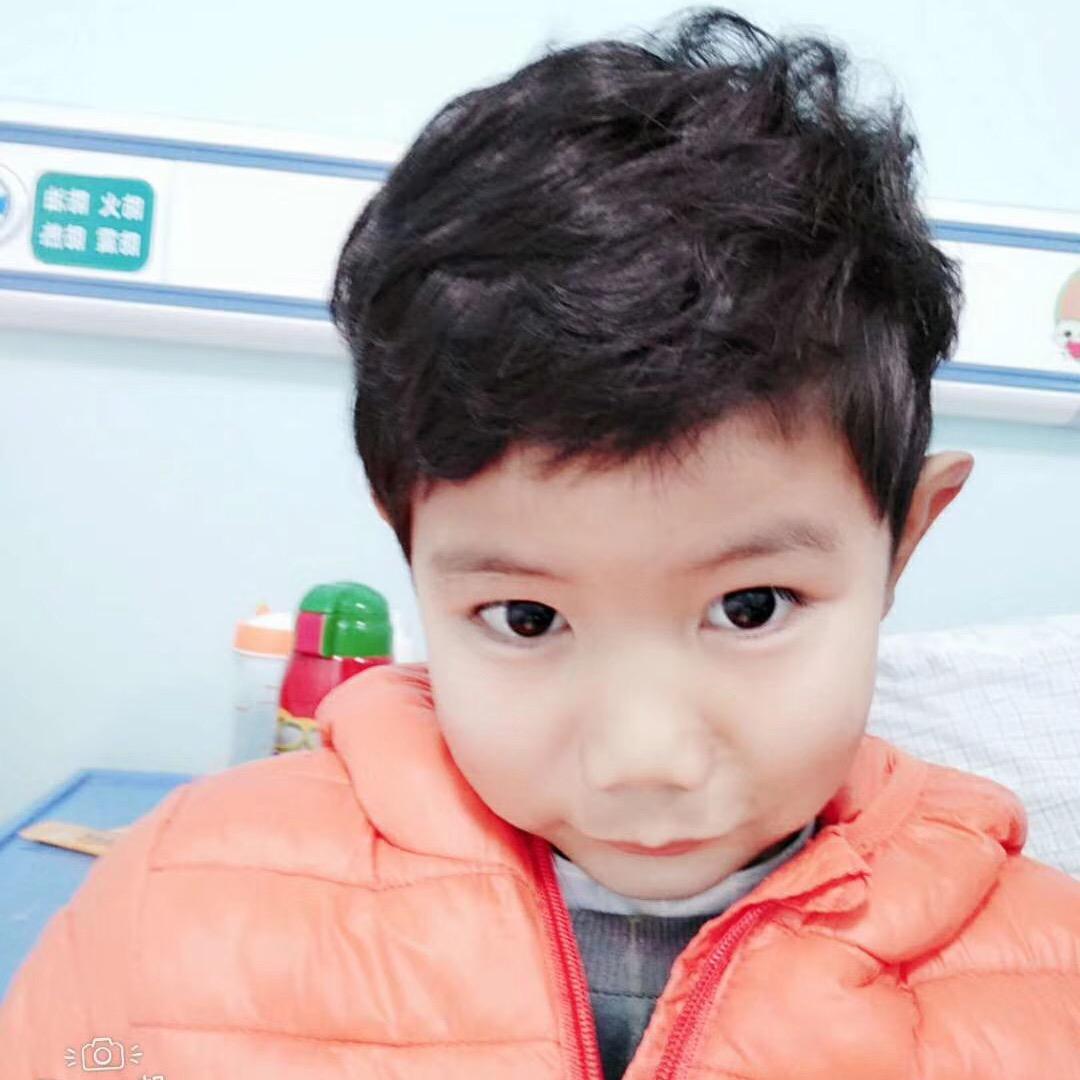 鸡鸭鹅狗兔，钓鱼泥鳅，批发零售