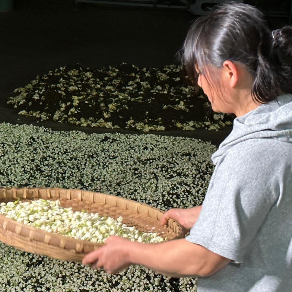 大师飘雪茶叶旗舰店