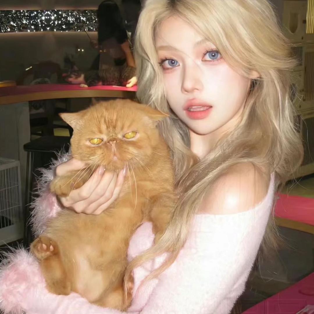 池恩（🔗在橱窗