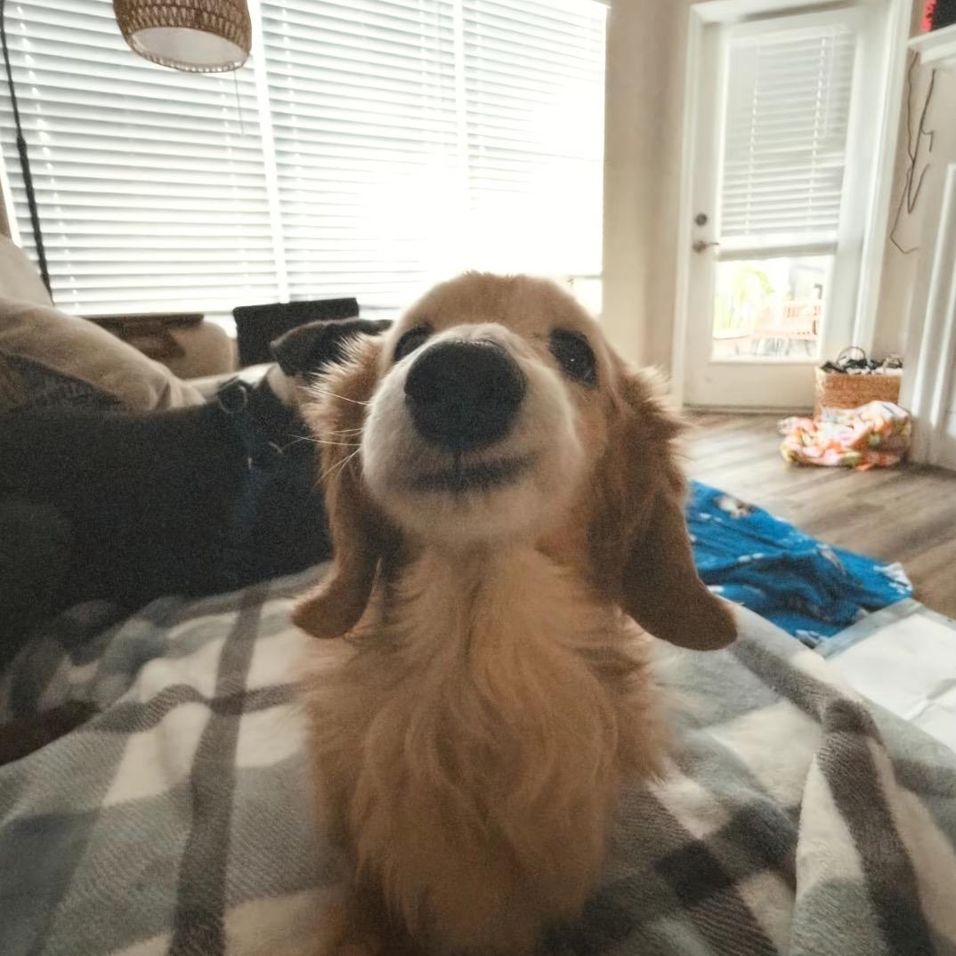 𝓛𝓾𝓿𝓤4𝓮𝓿𝓮𝓻