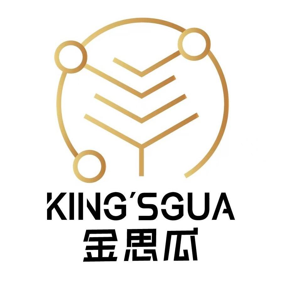 金思瓜大码女装