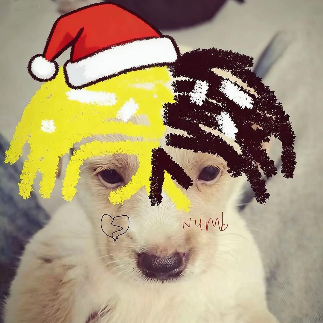 AA新疆馕师傅三轮车拉货