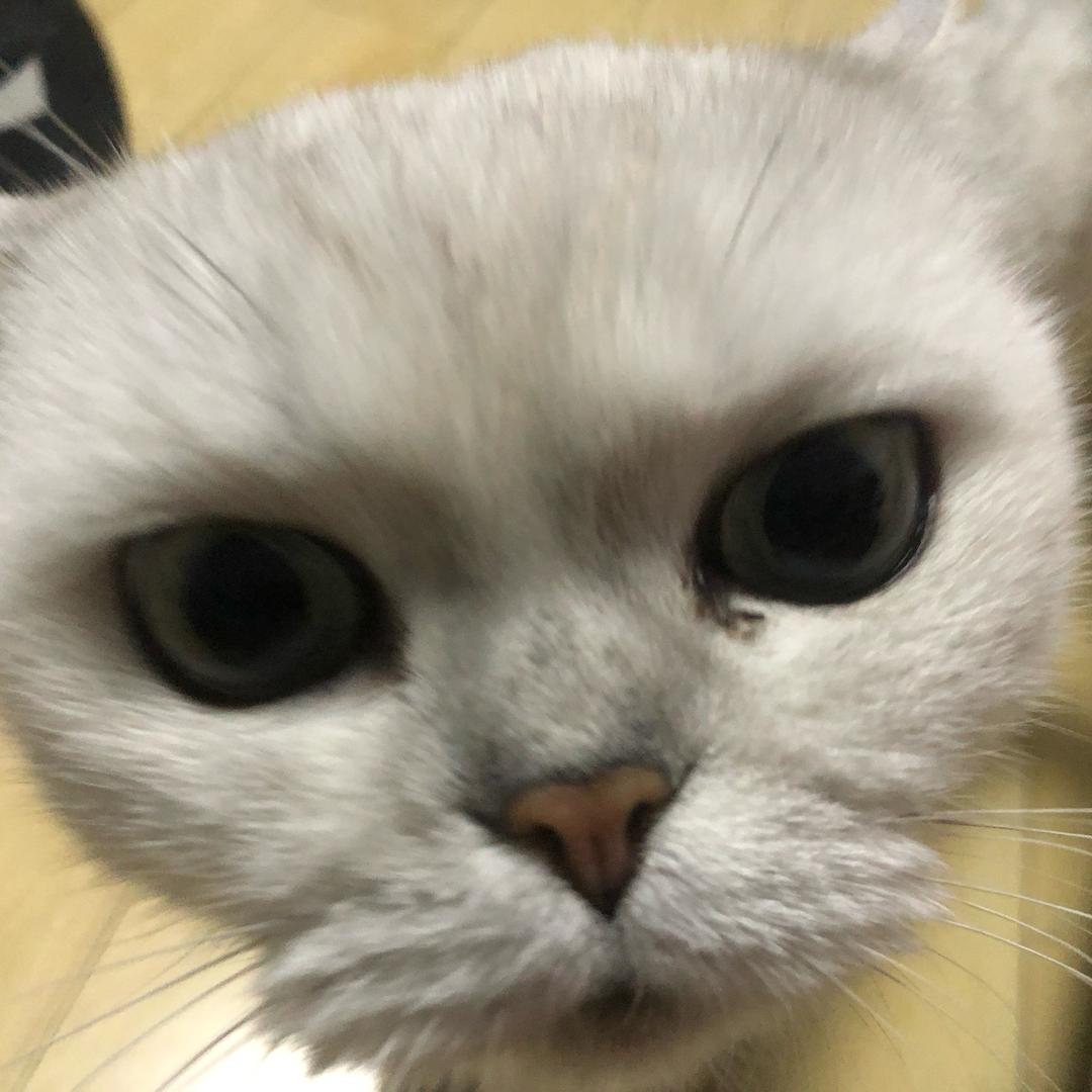 瓜呱