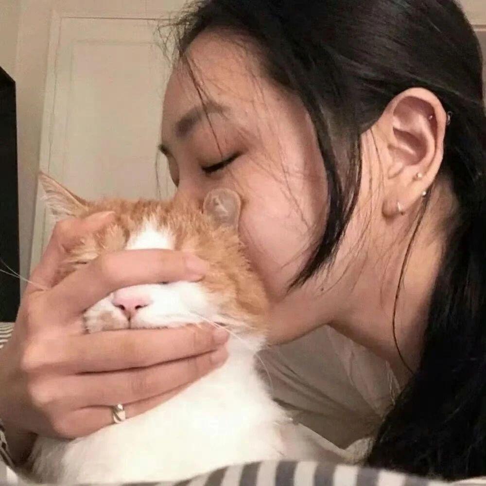 牛牛很忙