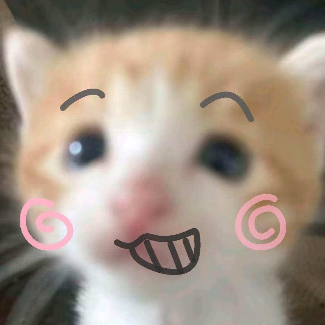 辛巴