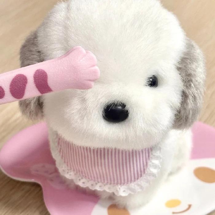 小玻璃