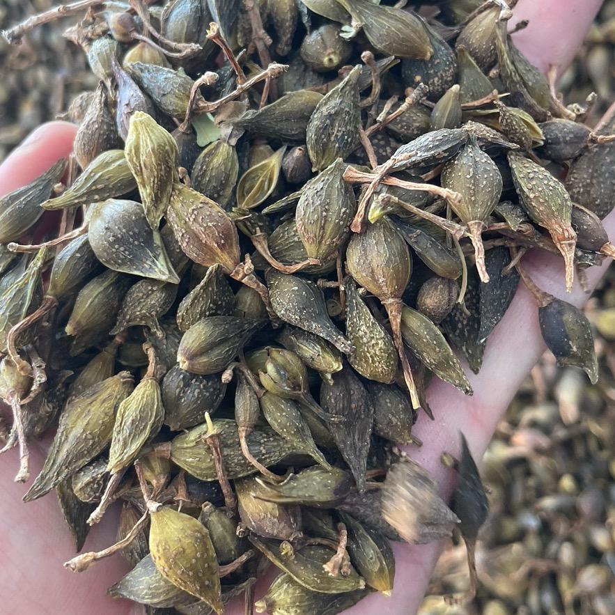 晋商中药材合作社