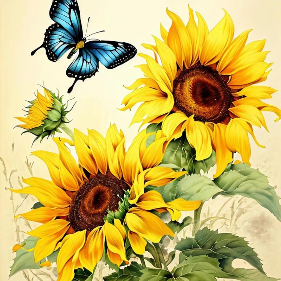 🌈向阳而生🌈