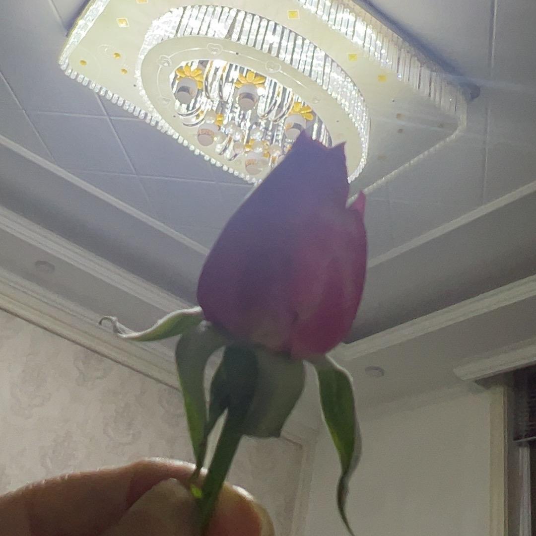 随心而遇