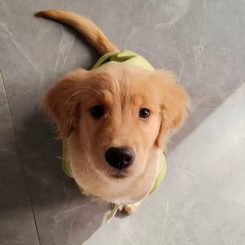 看清了就看轻了