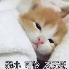 小陈