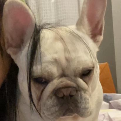 笨笨的漂亮日记