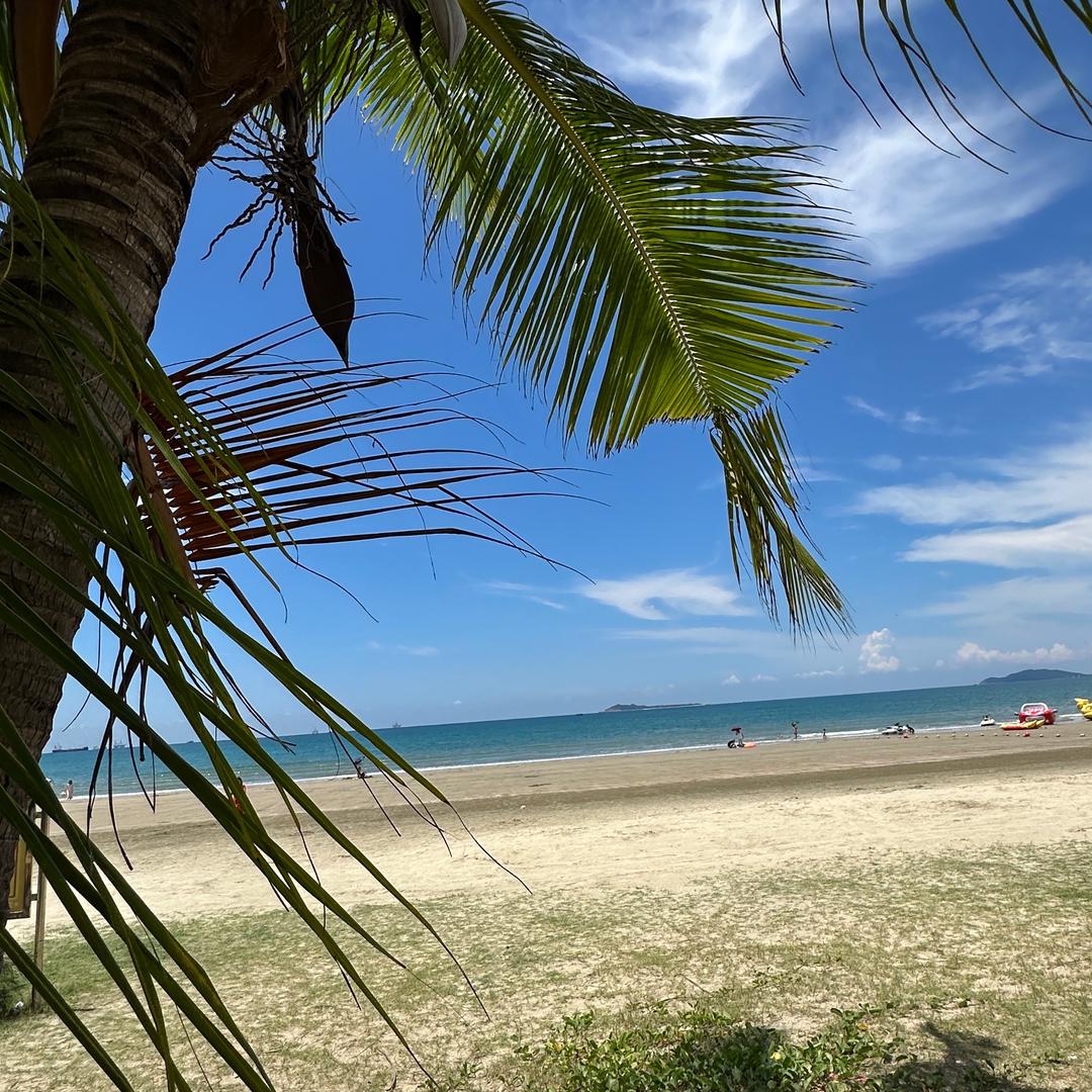 王者荣耀（免费上车）