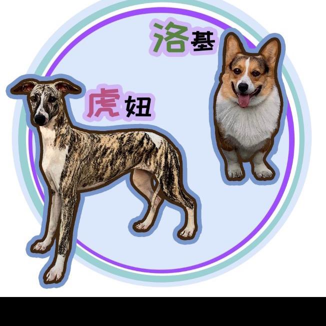 洛基和虎妞🥇