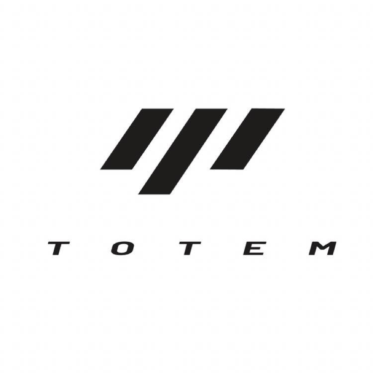 图腾战术方案TotemSolution