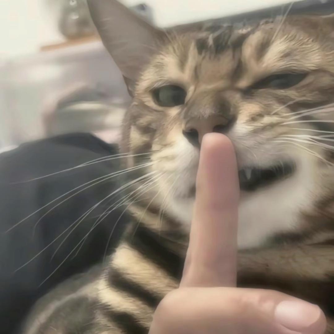 柑橘