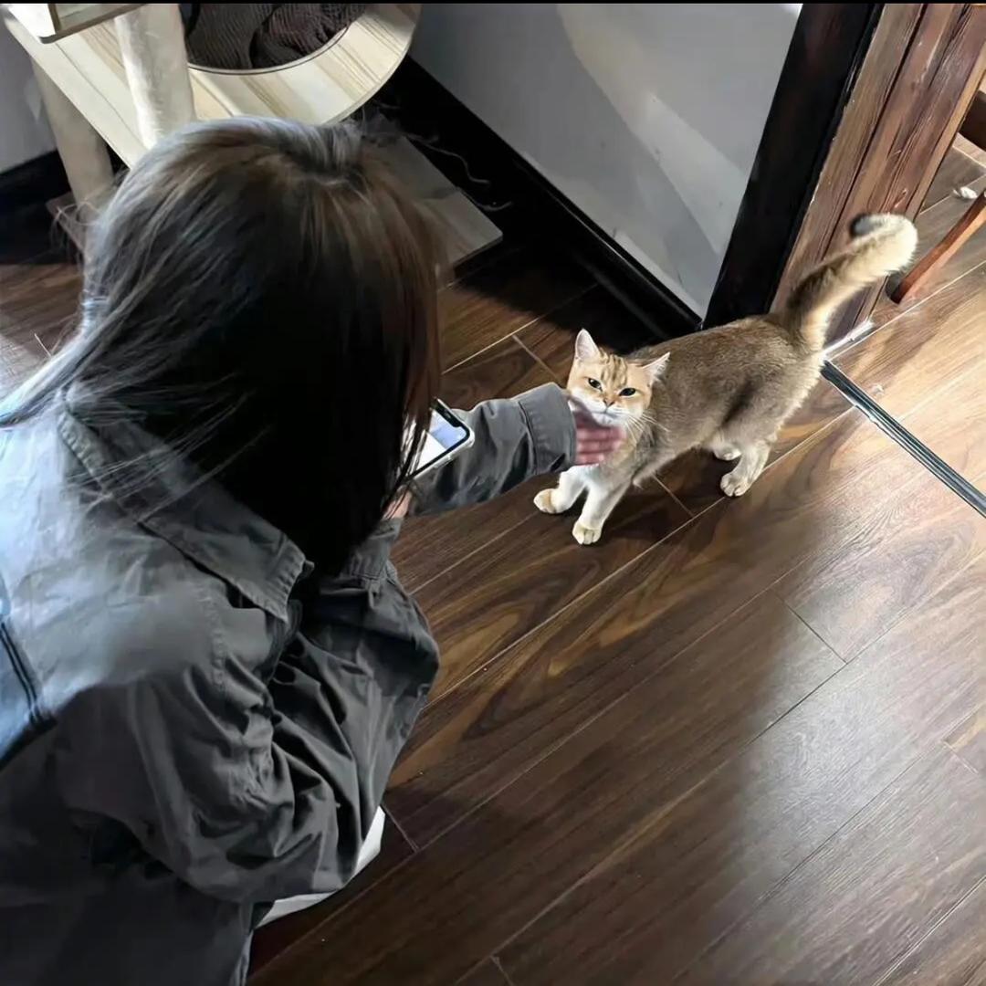 好运降临咪身上