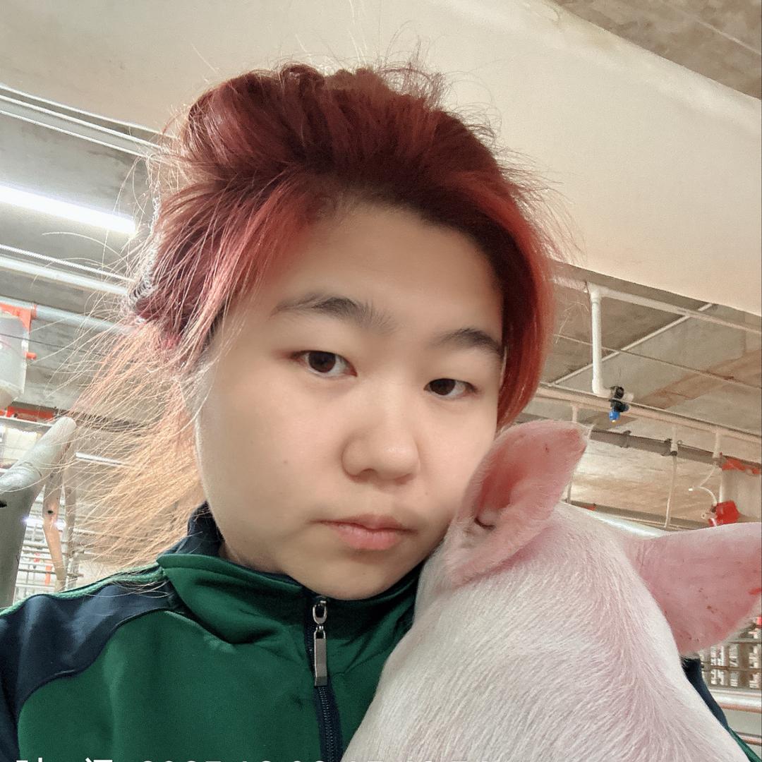 胖妹在养猪。