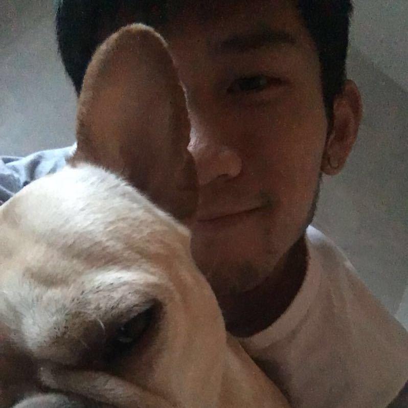毛球对话