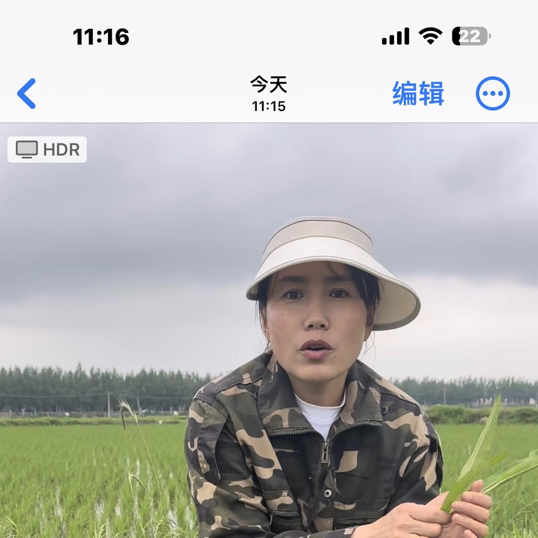 三嫂家五常大米
