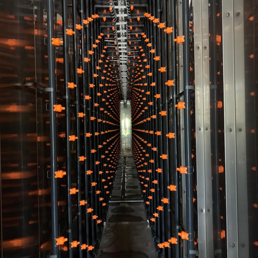 人生好像一杯酒