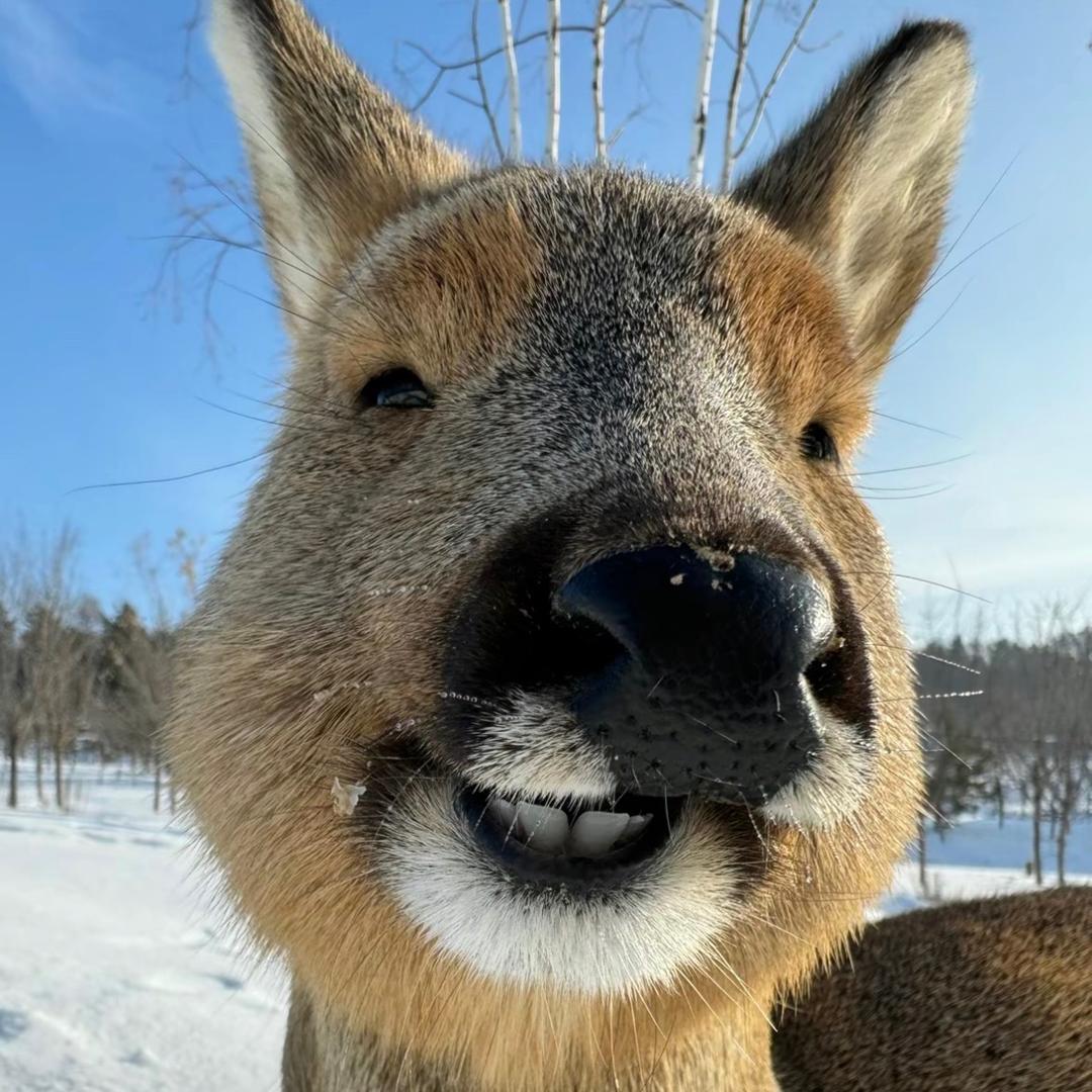 大海亲吻鲨鱼🦈