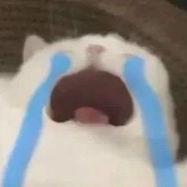 我情绪很稳定啊