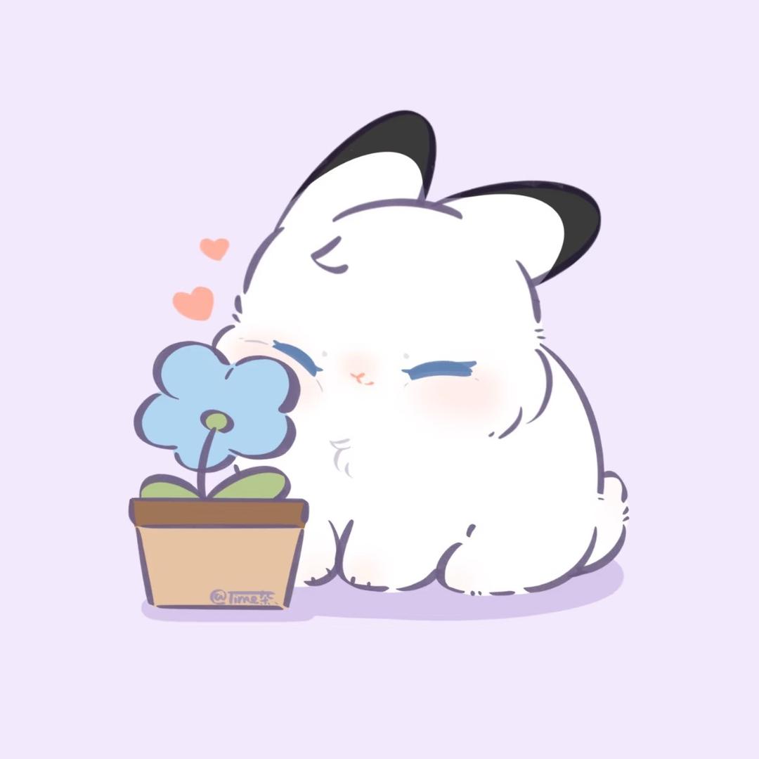 小兔星✨